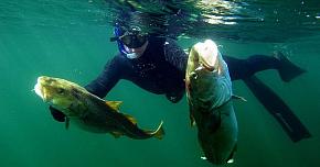 Крепление гарпуна в подводном ружье